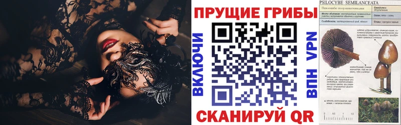 Псилоцибиновые грибы мухоморы это наркотические препараты Дальнегорск блэк спрут зеркало
